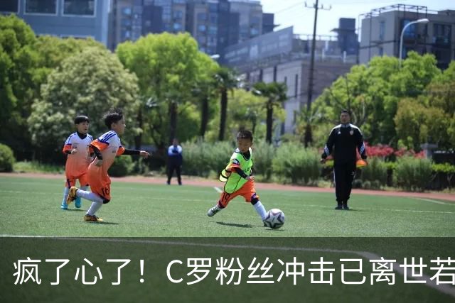 疯了心了！C罗粉丝冲击已离世若塔社媒：把球传给C罗